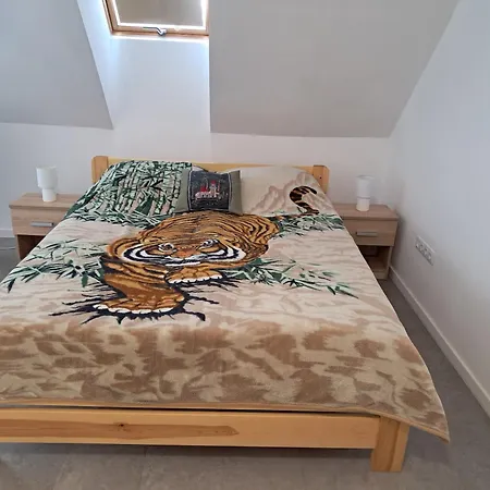 Apartament Atkacs *