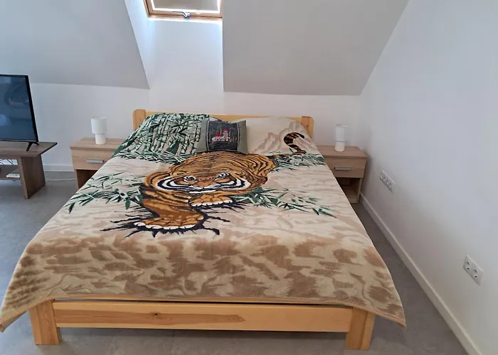 Apartament Atkacs *