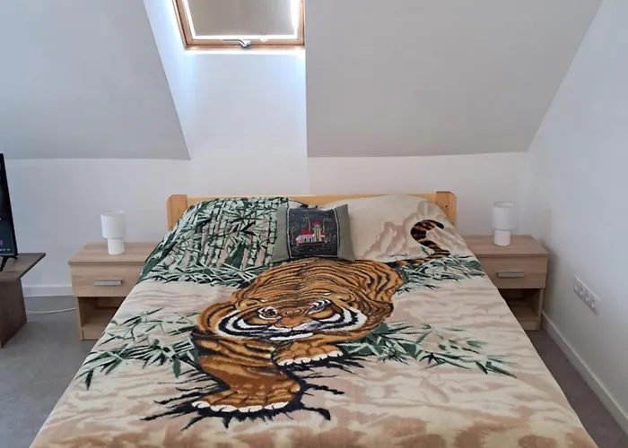 Atkacs Apartament *