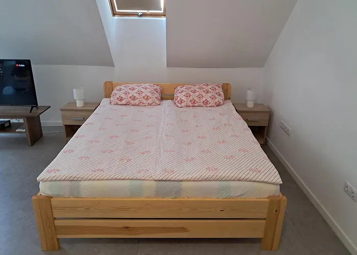 Apartament Atkacs *